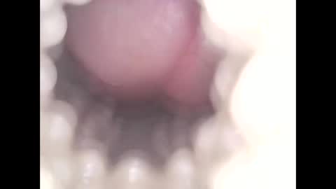 ohioguy4201985 online show from 03/30/26, 07:59