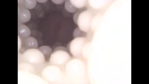 ohioguy4201985 online show from 04/13/26, 01:05