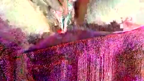 ohlalamama13 online show from 03/17/26, 09:51