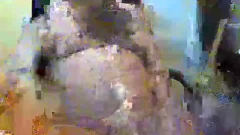 William online show from 11/02/25, 05:26