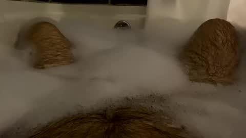 oldbones2 online show from 02/17/25, 01:36