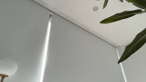 Olivia Brookes online show from 11/27/25, 08:44