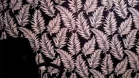 Kelly online show from 12/15/24, 05:53