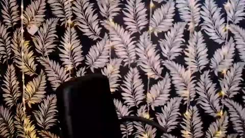 Kelly online show from 01/06/25, 12:13