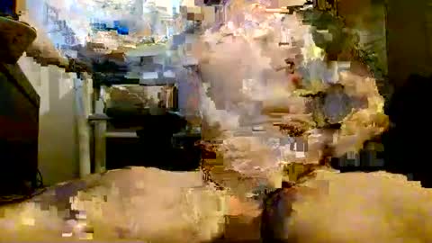 onlyfunnowchat online show from 01/06/26, 05:38