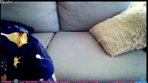 Snapshot of ooh_sweet chatting on 06/27/26, 02:34 OF - Ooh 69sweet SNAP4LIFE OFFLINE 899 normal VIP 1369 outside online show from 06/27/26, 02:34