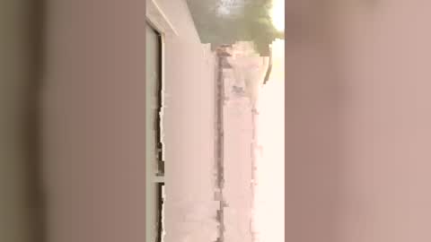 ooiskyfalloo online show from 05/17/26, 12:41