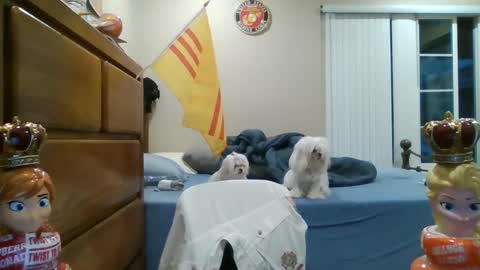 Snapshot of oorah1775 chatting on 03/02/25, 02:10 oorah1775 online show from 03/02/25, 02:10