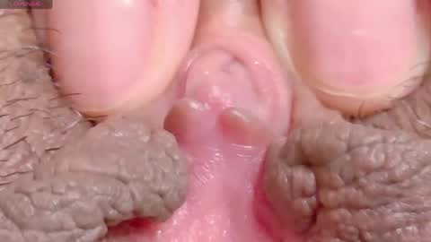 orchidekitty online show from 04/16/26, 08:20