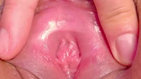 orchidekitty online show from 05/28/26, 12:41
