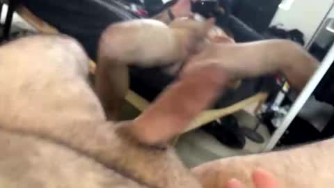 ORGYBARGY69 online show from 11/14/25, 09:24