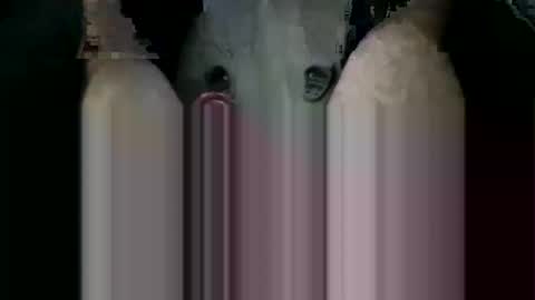 ORGYBARGY69 online show from 11/19/25, 07:03