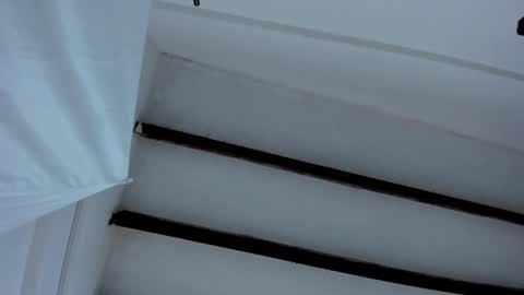 Miss Guzman  online show from 01/27/25, 12:48