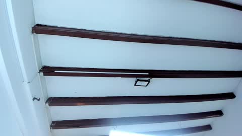 Miss Guzman  online show from 02/09/25, 02:28