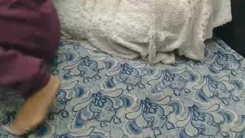 originalcali95 online show from 02/14/26, 08:27