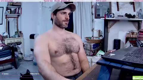 Osito Blanco online show from 05/20/26, 10:27