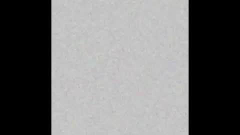 Alice online show from 12/01/24, 06:52