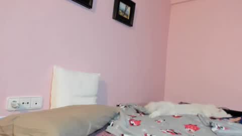 Snapshot of palaustudio chatting on 01/17/25, 08:24 Merce online show from 01/17/25, 08:24