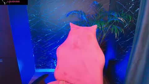 Palo Santo online show from 02/05/26, 07:35