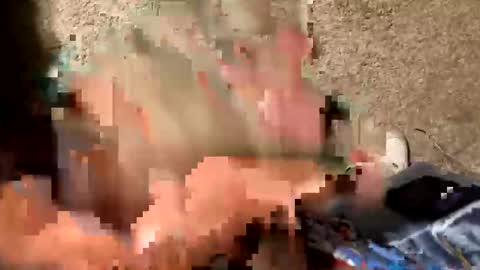 palote_69 online show from 10/17/25, 03:42