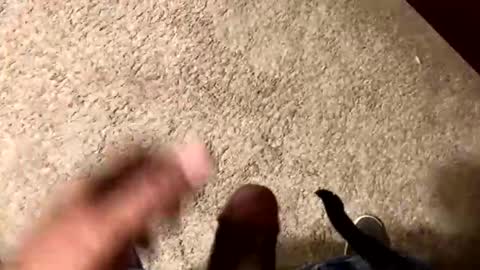 palote_69 online show from 11/15/25, 03:37