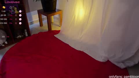     online show from 03/08/25, 06:05