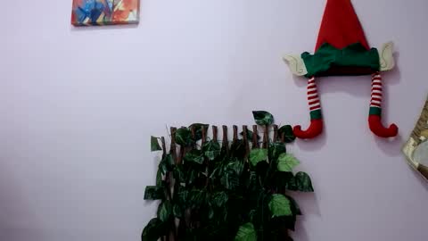 Pamela Claus online show from 12/30/24, 03:46