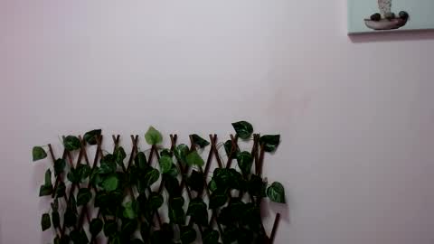 Pamela Claus online show from 01/30/25, 12:18