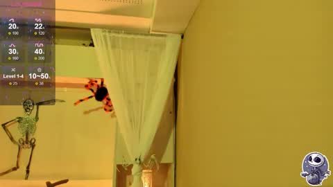  P A M  online show from 10/12/25, 04:11