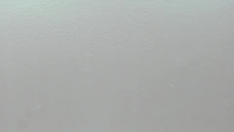  P A M  online show from 02/01/26, 04:11