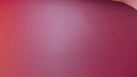  P A M  online show from 02/17/26, 04:09