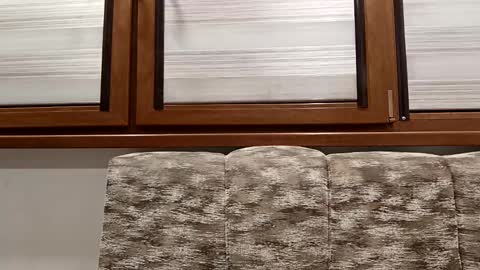 angel hris online show from 01/14/25, 08:15