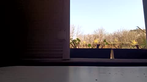 angel hris online show from 04/05/26, 03:09