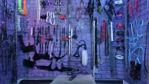 PandoraNez online show from 10/04/25, 02:59