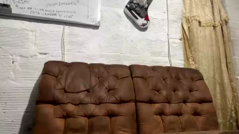 panthers_room online show from 12/19/24, 10:56