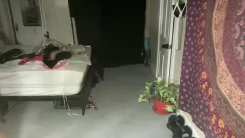 Pantiesofthefae online show from 02/21/25, 12:16