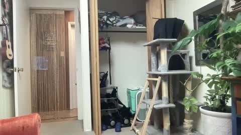 Pantiesofthefae online show from 10/13/25, 09:53