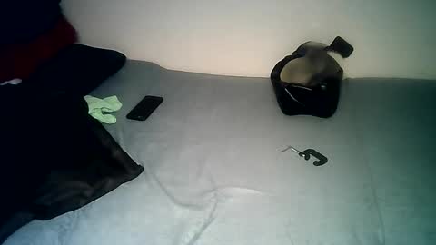 PantsLessTraveler online show from 12/14/24, 07:46