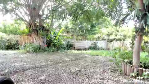 Snapshot of paoguerrax354 chatting on 10/19/25, 06:41 paoguerrax354 online show from 10/19/25, 06:41