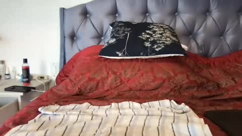 Paradise Bird01 online show from 01/17/25, 07:49