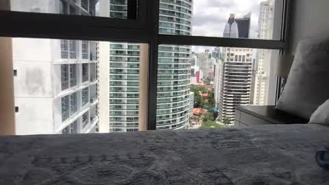 Paradise Bird01 online show from 03/15/26, 05:30