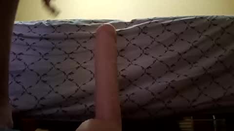 paradoxxxxl online show from 12/29/24, 09:52