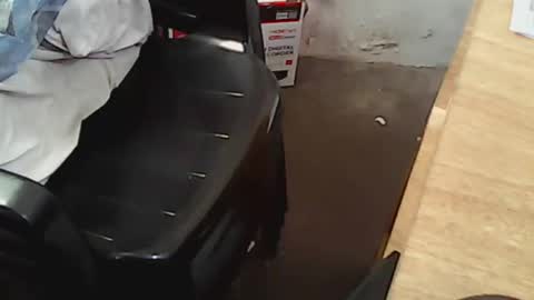 Snapshot of pareja201722 chatting on 12/14/24, 07:46 pareja201722 online show from 12/14/24, 07:46