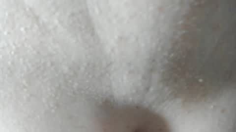 sara and andreu online show from 12/07/24, 06:04