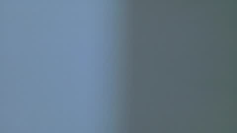 PARIS online show from 02/14/26, 07:43