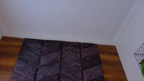 PARIS online show from 02/18/26, 08:16