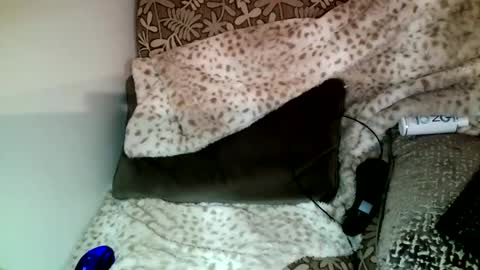 Snapshot of parlay0028 chatting on 12/23/24, 10:33 Parlay tellio online show from 12/23/24, 10:33