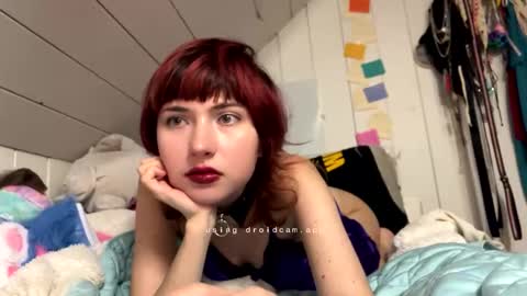 pastlpawz online show from 04/03/26, 10:08