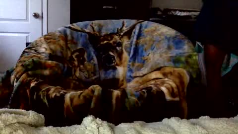 patdaddy12 online show from 04/16/26, 09:50