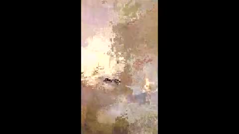 Snapshot of patrickalan2 chatting on 12/14/25, 02:50 patrickalan2 online show from 12/14/25, 02:50